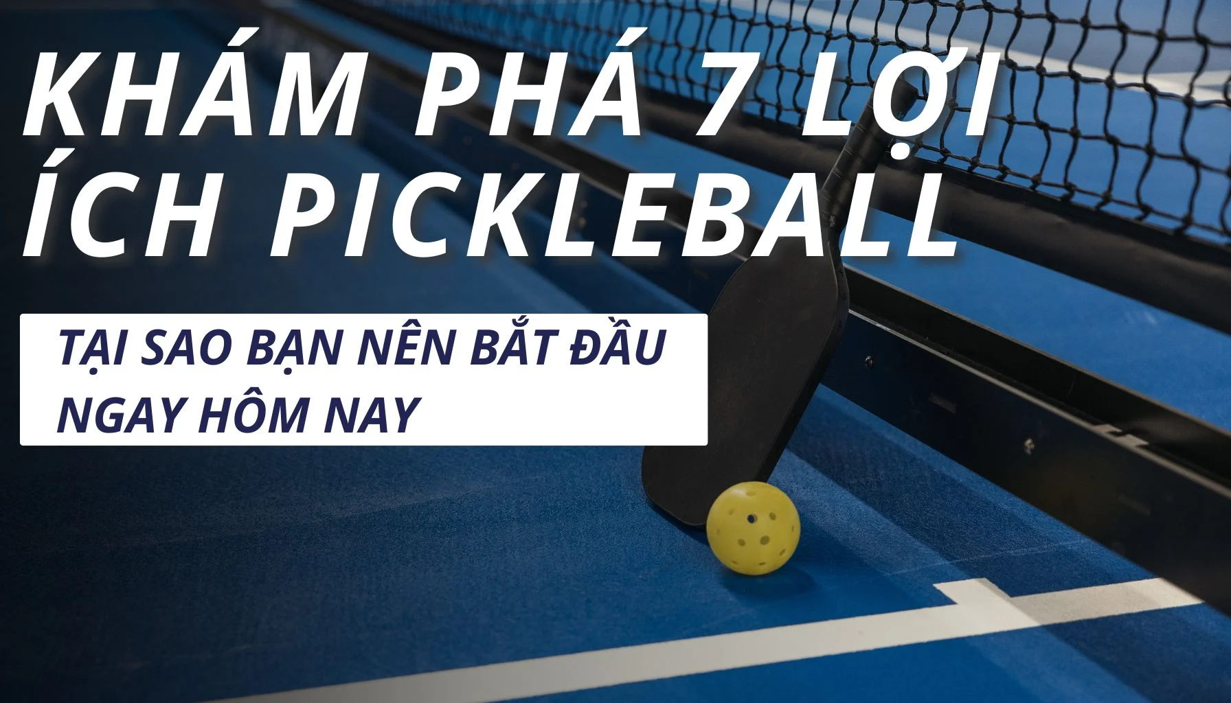 pickleball-giai-ma